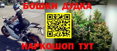 гидра Бузулук