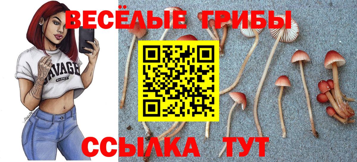 Урай  Псилоцибиновые грибы MAGIC MUSHROOMS  как найти   Вход с VPN 